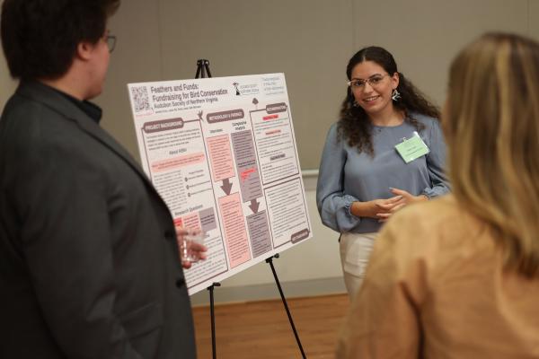Capstone